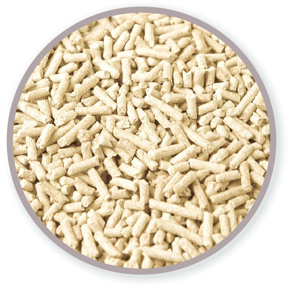 Totol | Original Tofu Cat Litter Toronto | ARMOR THE POOCH